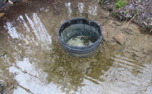 11_Knygnesiu saltinis. A.Brazdeikytes n.jpg